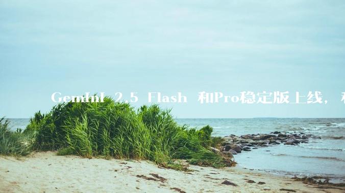 Gemini 2.5 Flash 和Pro稳定版上线，和之前版本相比，在性能和应用场景上有哪些提升？