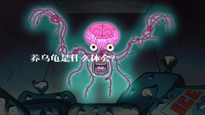 养乌龟是什么体会？